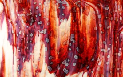 揭秘六块腹肌:从肌肉结构看腹直肌训练核心