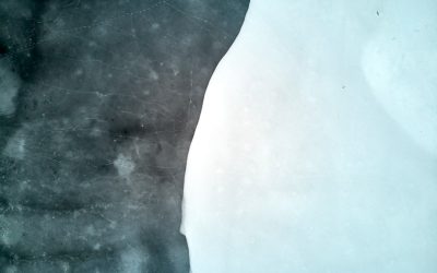核心肌群之王:腹横肌如何助你告别腰痛,重塑完美体态?