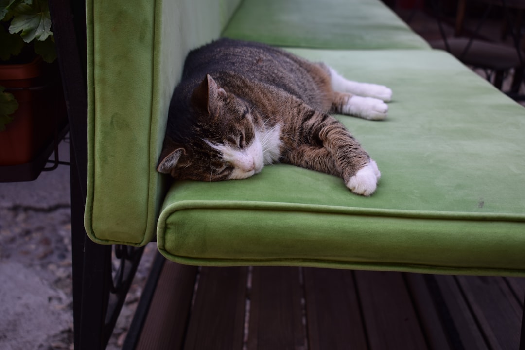 5-10-20-1753253797346