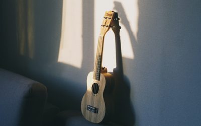 世界传统乐器之旅：探索各国音乐灵魂与文化传承