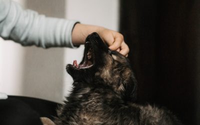 摆脱压力：冥想与呼吸法助您重拾内心平静