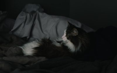 告别疲惫:打造睡眠效率翻倍的黄金作息!