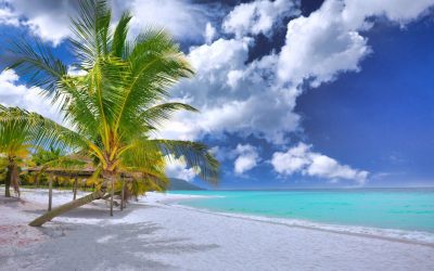 2025全球公认的十大梦想旅游胜地：开启您的非凡之旅！