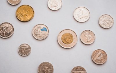 谷歌SEO与AdSense：2025年盈利博客的终极指南