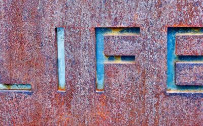 每月100美元开始的ETF长期投资策略：小资金也能滚出大财富！