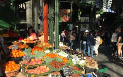 2025年全球超级食物风潮：健康生活新选择！
