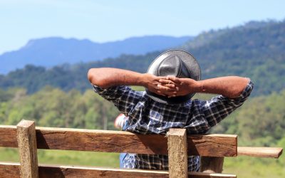 科學減壓：2025年最新實證方法，助您擺脫壓力困擾！