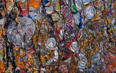 零廢棄生活入門指南:邁向永續的每一步