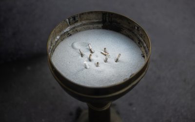 告别旧我，迎接新生：戒除坏习惯的心理学智慧