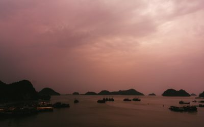 探索东南亚美食天堂：吃货们的旅行攻略 🍜