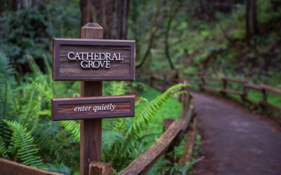 星盘解读与个人成长:2025年你的宇宙蓝图