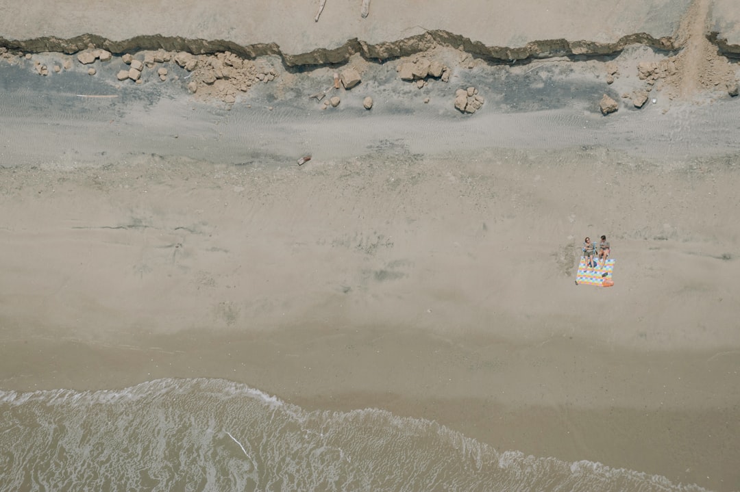 2025-seo-1763935028713