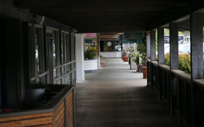 MBTI职场沟通与协作:解锁高效团队的秘密武器!