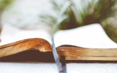 MBTI恋爱匹配度：探索性格类型在亲密关系中的奥秘