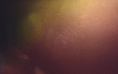 掌握趋势，驾驭外汇：2025年趋势跟踪策略深度解析