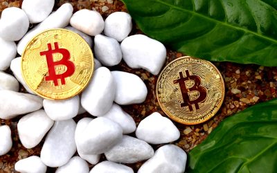 2025年加密货币网格交易：在波动中捕捉收益的自动化策略