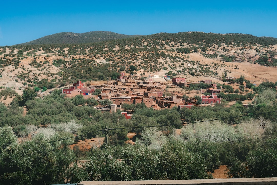 2025-2026-1764755816479