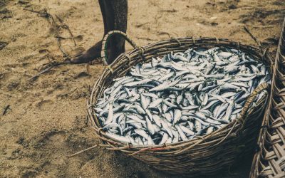 2025-2026全球美食与旅行新趋势:探索味蕾与心灵的深度之旅