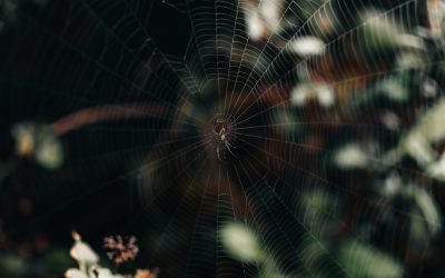 2025年Google搜索排名制胜秘籍：AI时代下的SEO优化全攻略