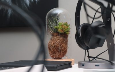 2026年及未来：人工智能如何重塑我们的世界？