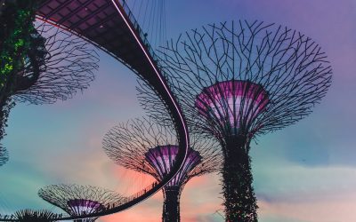 AI在日常生活中的未来：2025-2026年趋势与应用