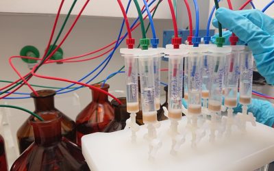 揭秘血型与性格：是科学还是迷思？最新研究告诉你真相