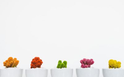 掌握波段交易:在波动市场中捕捉利润的艺术