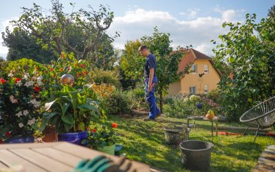 掌握日内交易：在波动市场中寻找盈利机会的策略