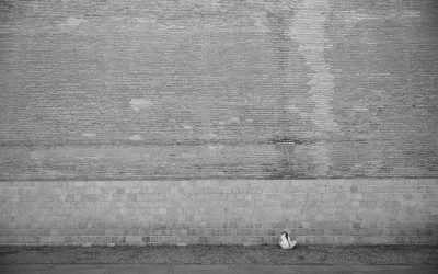 如何成为一名成功的社交媒体影响者：2026年最新实用指南