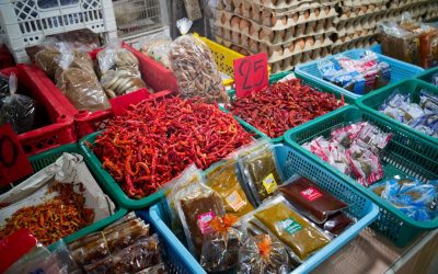 舌尖上的世界：2026全球美食旅游与饕客智慧攻略