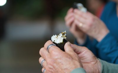 2026全球美食之旅：探索世界味蕾，品味地道风情！