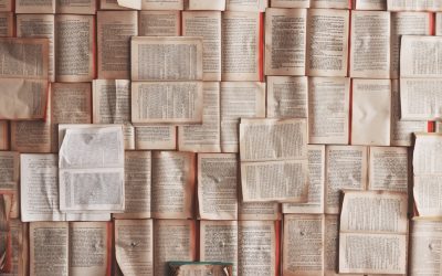 MBTI性格类型与人际关系:探索你的最佳拍档