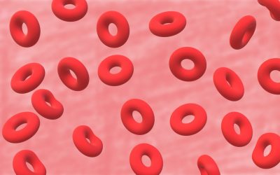 血型与性格：是科学还是趣味？探索血型性格论的奥秘