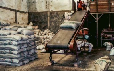 掌握摆动交易：在波动市场中捕捉短期利润的秘诀