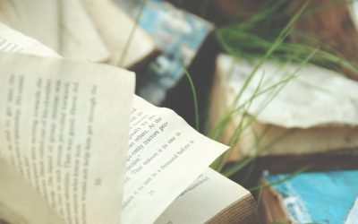 掌握期权价差策略：在波动市场中稳健获利的秘诀