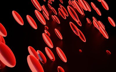 血型与性格：台湾社会中的文化现象与科学视角