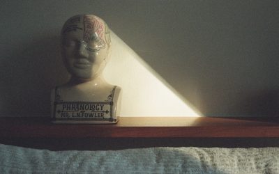 血型与性格：台湾的文化现象与科学视角