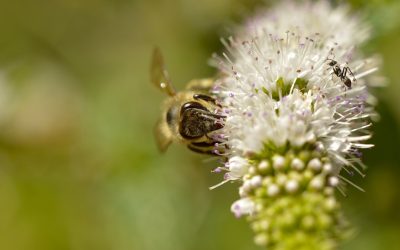 揭秘2026星座配对奥秘：星辰指引下的爱情新篇章 ✨