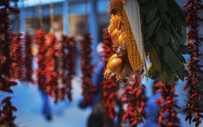 2026全球旅行新风尚：探索热门目的地与味蕾盛宴的智慧攻略