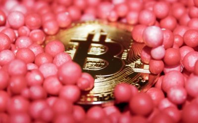 2026年外汇市场：掌握趋势跟踪策略，把握盈利先机！