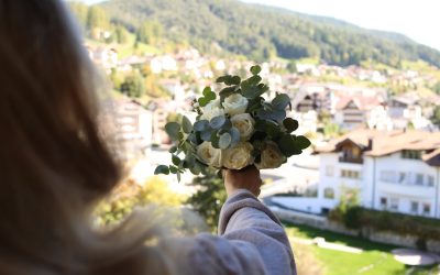 2026年社交媒体网红养成攻略：YouTube、Instagram、TikTok、Facebook全解析