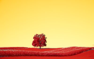 血型解碼：探索性格與人際關係的奧秘