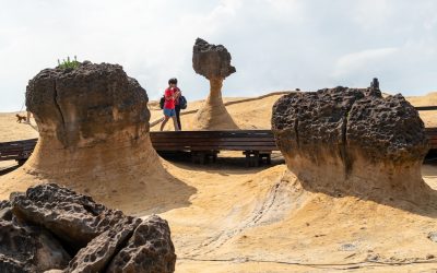 在AI时代,博客如何通过E-E-A-T和GEO策略赢得Google SEO新战场