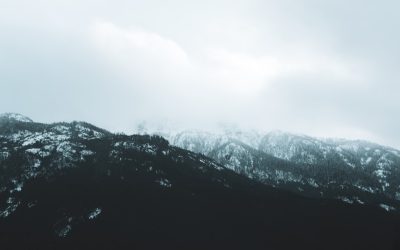 利用WordPress打造盈利博客：2026年最新趋势与实战指南