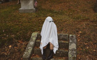 2026年社交媒体影响力人物养成记：从零到百万粉丝的秘诀