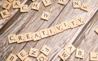 2026年多平台网红养成攻略：YouTube、Instagram、TikTok、Facebook全面解析