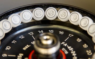 MBTI恋爱匹配度：超越标签，共筑深度连接的秘诀 ✨