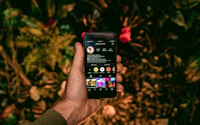 在社群媒體時代脫穎而出：成為YouTube、Instagram、TikTok、Facebook的影響力創作者