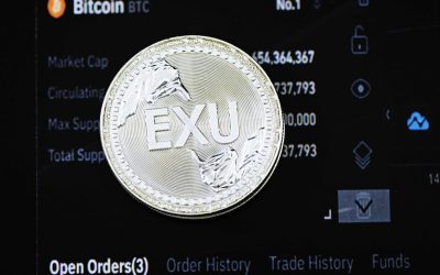 掌握趋势:外汇交易中获利丰厚的趋势跟踪策略解析
