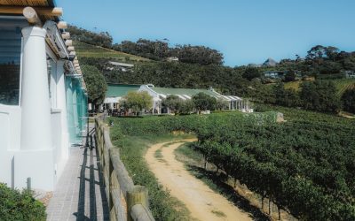 2026全球美食之旅：探索热门目的地与饕餮秘籍